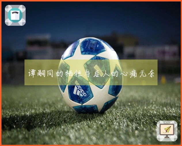 谭嗣同的牺牲与后人的心痛无奈